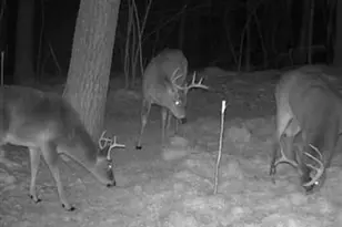 W4902 Co Hwy F, Springbrook, WI 54875 - Photo 50