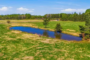 8874 Hwy 25, Angora, MN 55703 - Photo 28