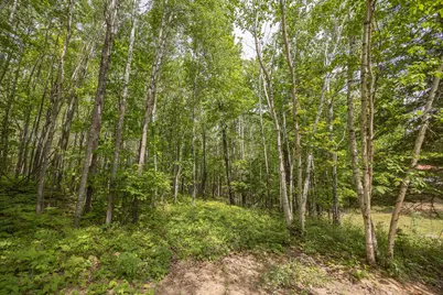 3677 County 54 NE, Longville, MN 56655 - Photo 50