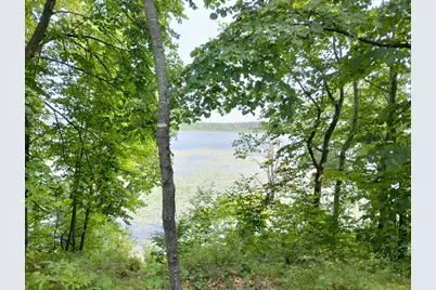3918 County Road 168, Pequot Lakes, MN 56472 - Photo 6