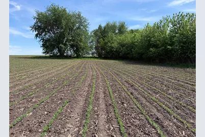 Tbd 31st Avenue NW, Oronoco, MN 55960 - Photo 26