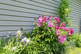 907 California Ave W, Saint Paul, MN 55117 - Photo 38