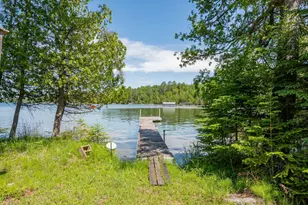 51301 Pine Point Rd, Bigfork, MN 56628 - Photo 76