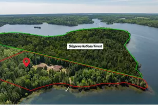 51301 Pine Point Rd, Bigfork, MN 56628 - Photo 8
