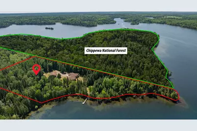 51301 Pine Point Road, Bigfork, MN 56628 - Photo 54