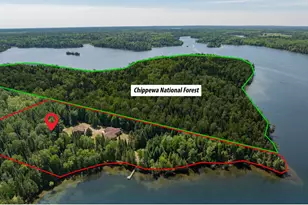 51301 Pine Point Rd, Bigfork, MN 56628 - Photo 54