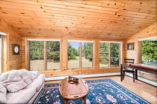 51301 Pine Point Rd, Bigfork, MN 56628 - Photo 22