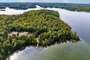 51301 Pine Point Rd, Bigfork, MN 56628 - Photo 44