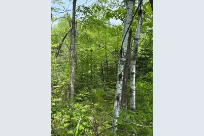 Tbd Range Line Rd, Kerrick, MN 55756 - Photo 4