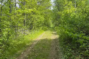 Tbd Range Line Rd, Kerrick, MN 55756 - Photo 1