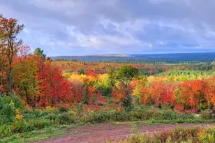 5241 Hut Two Rd, Finland, MN 55603 - Photo 22
