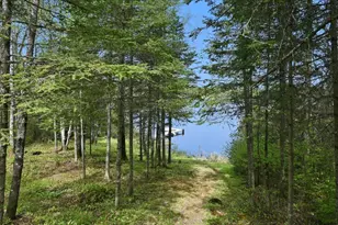 1537 Little Stone Lake Rd, Brimson, MN 55602 - Photo 10