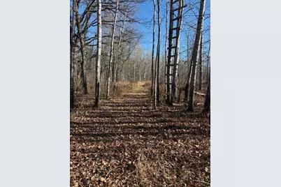 226th 226th, McGregor, MN 56431 - Photo 10