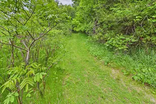 4498 Avery Rd, Burtrum, MN 56318 - Photo 56