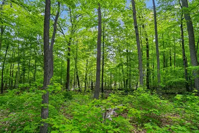 Tbd Cuyuna Greens Drive, Deerwood, MN 56444 - Photo 10