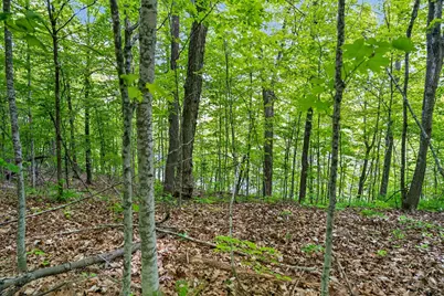 Tbd Cuyuna Greens Drive, Deerwood, MN 56444 - Photo 8