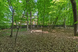 8823 Basswood Rd, Eden Prairie, MN 55344 - Photo 36
