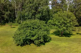 6613 County Rd 125 NE, Longville, MN 56655 - Photo 22