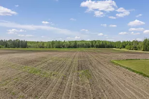45024 Co Rd 14, Bigfork, MN 56628 - Photo 48