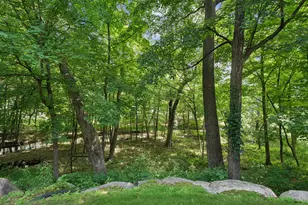 18844 Bearpath Trail, Eden Prairie, MN 55347 - Photo 58
