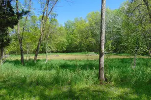 57625 226th St, Litchfield, MN 55355 - Photo 28