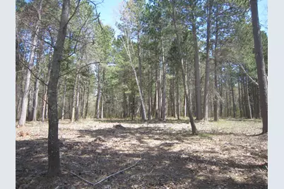 Lot 4 Pike Bay Loop NW, Cass Lake, MN 56633 - Photo 6