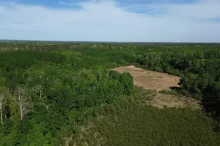 Tbd County 4, Park Rapids, MN 56470 - Photo 1