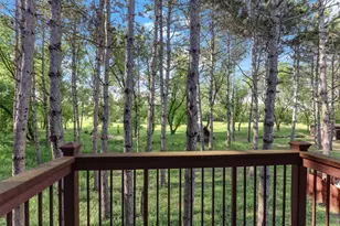 10940 105th St N, Grant, MN 55082 - Photo 52