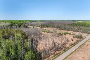 2685 Elliots Lake Rd, Eveleth, MN 55734 - Photo 8