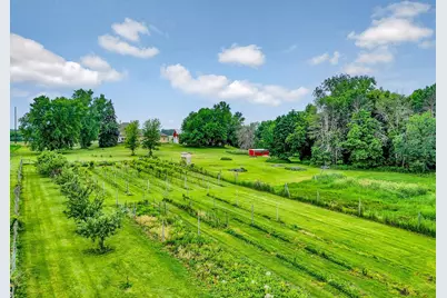 16780 County Road 34, Norwood Young America, MN 55368 - Photo 6