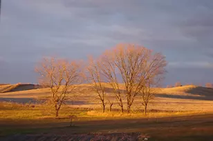 19800 Stephan Dr, Starbuck, MN 56381 - Photo 62