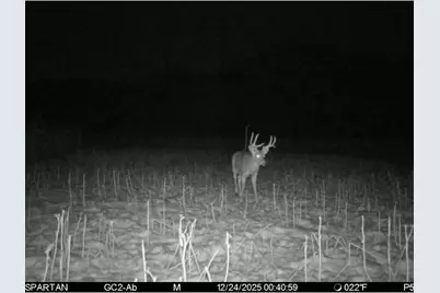 S1689 County Road Xx, Alma, WI 54610 - Photo 34
