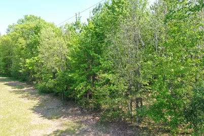 Xxx Evergreen Avenue, Saint Croix Falls, WI 54024 - Photo 1