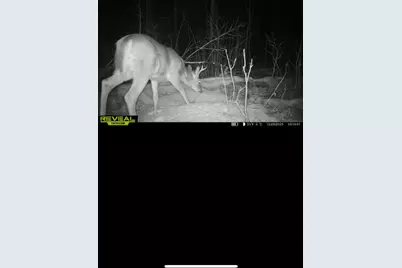 Tbd 30th Ave, Isle, MN 56342 - Photo 18