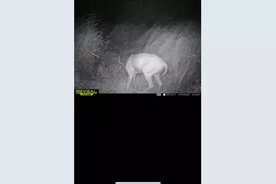 Tbd 30th Ave, Isle, MN 56342 - Photo 6