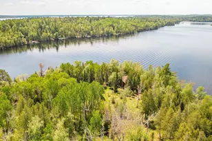 5399 Pine Island N, Tower, MN 55790 - Photo 38