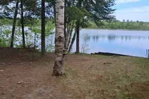 550 Shady Shores Trail NW, Pine River, MN 56474 - Photo 42