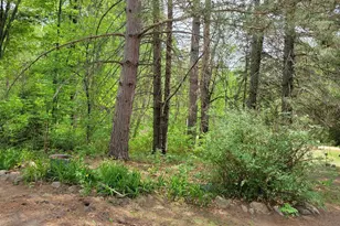 550 Shady Shores Trail NW, Pine River, MN 56474 - Photo 12