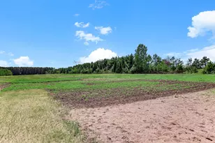 9805 430th St, Harris, MN 55032 - Photo 36