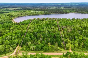 17079 Paw Print Dr, Laporte, MN 56461 - Photo 48