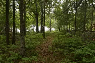 29993 Crystal Lake Dr, Danbury, WI 54830 - Photo 8
