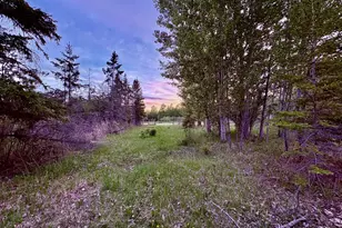 4325 94th Ave NW, Roosevelt, MN 56673 - Photo 42