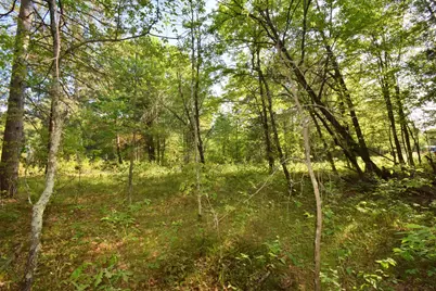 Lot 31 Setting Sun Trail Way, Danbury, WI 54830 - Photo 16