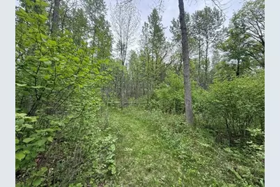 40781 County 2, Bagley, MN 56621 - Photo 10