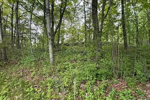 121 W Buffalo St, Duluth, MN 55811 - Photo 36