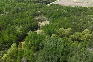 45964 Co Hwy 36, Frazee, MN 56544 - Photo 42