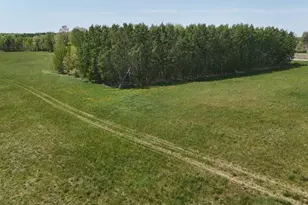 45964 Co Hwy 36, Frazee, MN 56544 - Photo 28