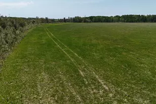 45964 Co Hwy 36, Frazee, MN 56544 - Photo 20