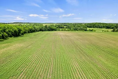 Tbd Dodd Road, Kilkenny, MN 56052 - Photo 18
