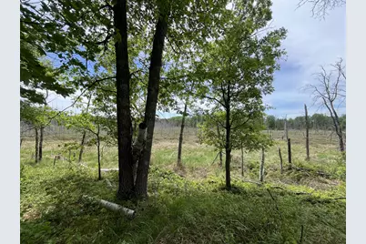 13384 Sorenson Lake Road, Merrifield, MN 56465 - Photo 36